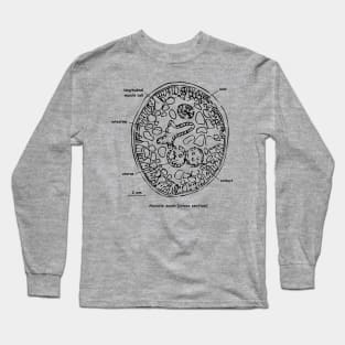 Cross section of Ascaris suum, labelled Long Sleeve T-Shirt